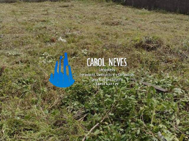 #6459 - Terreno para Venda em Itanhaém - SP - 2