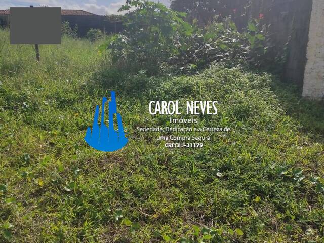 #6625 - Terreno para Venda em Itanhaém - SP - 2