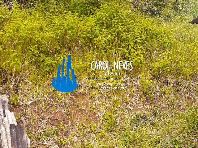 Terreno para Venda em Itanhaém - 4