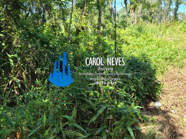 #13674 - Terreno para Venda em Mongaguá - SP - 3