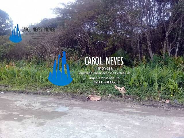 #3451 - Terreno para Venda em Mongaguá - SP