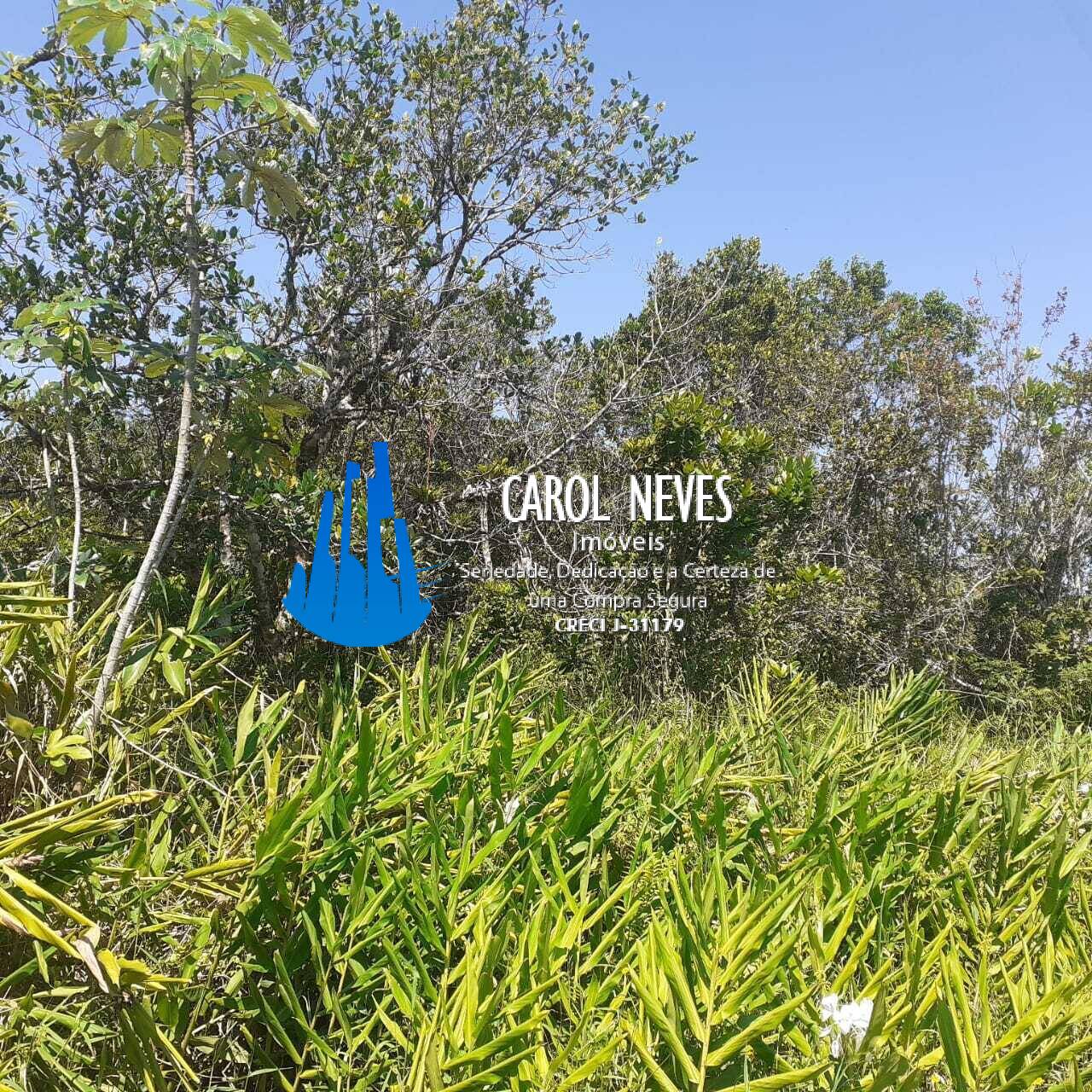 Terreno, 255 m² - Foto 2