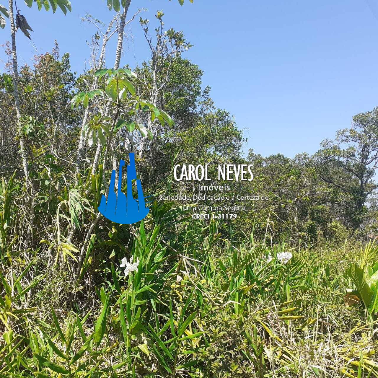 Terreno, 255 m² - Foto 5