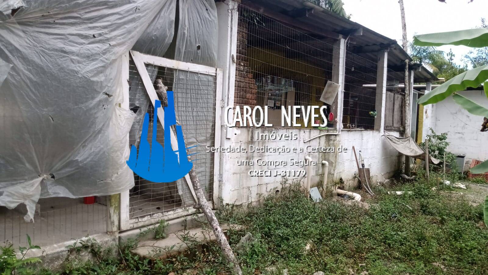 Chácara, 1 quarto, 1000 m² - Foto 3