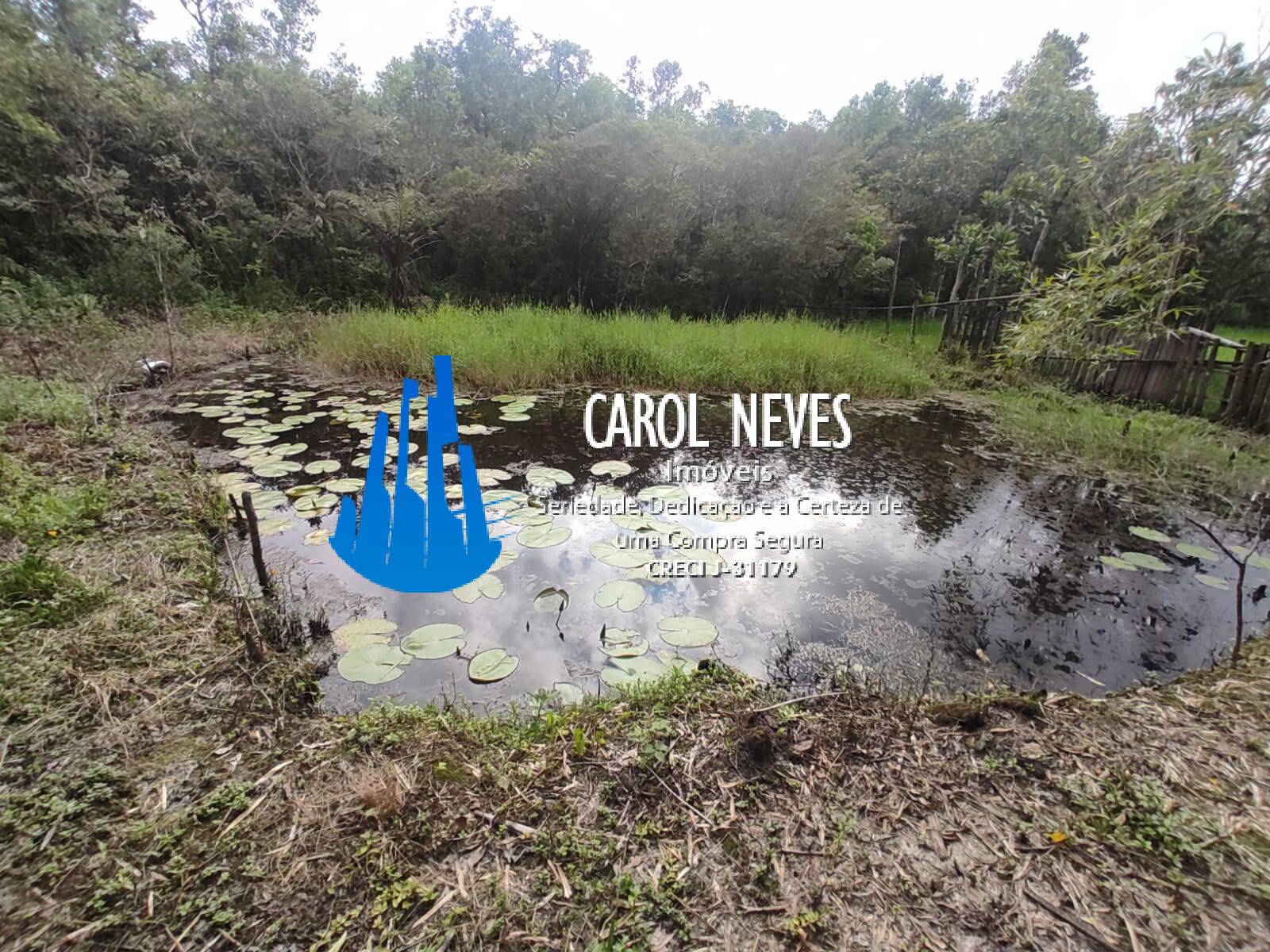 Chácara, 4 quartos, 2 hectares - Foto 5