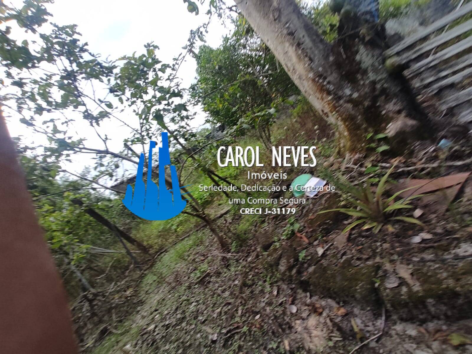Sítio, 4 quartos, 2 hectares - Foto 6