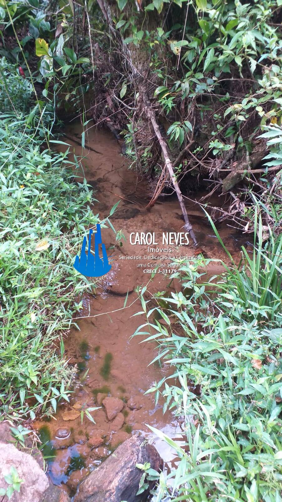 Sítio, 2 quartos, 16 hectares - Foto 5