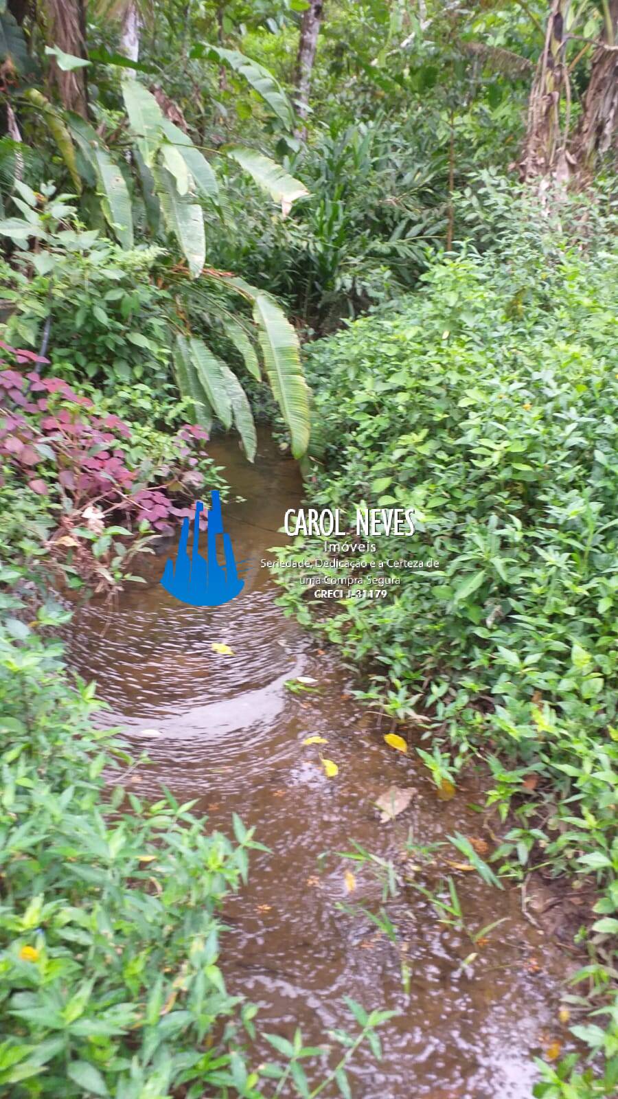 Sítio, 2 quartos, 16 hectares - Foto 3