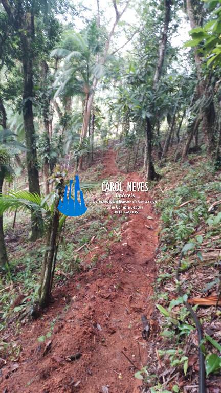 Sítio à venda com 2 quartos - Foto 26