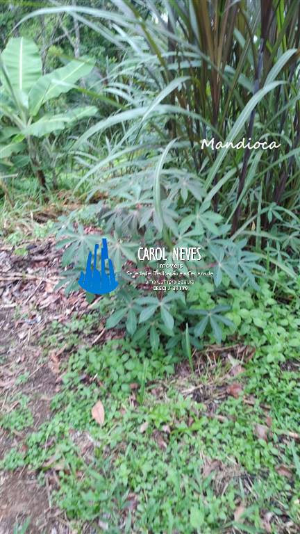 Sítio à venda com 2 quartos - Foto 31
