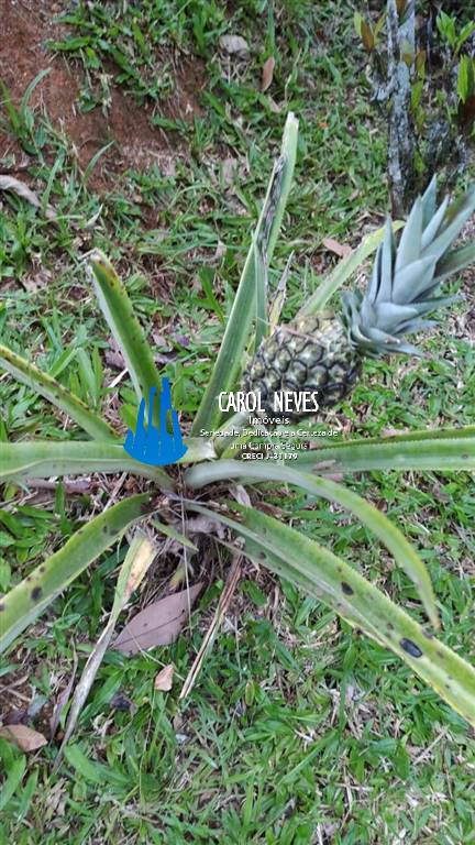 Sítio à venda com 2 quartos - Foto 32