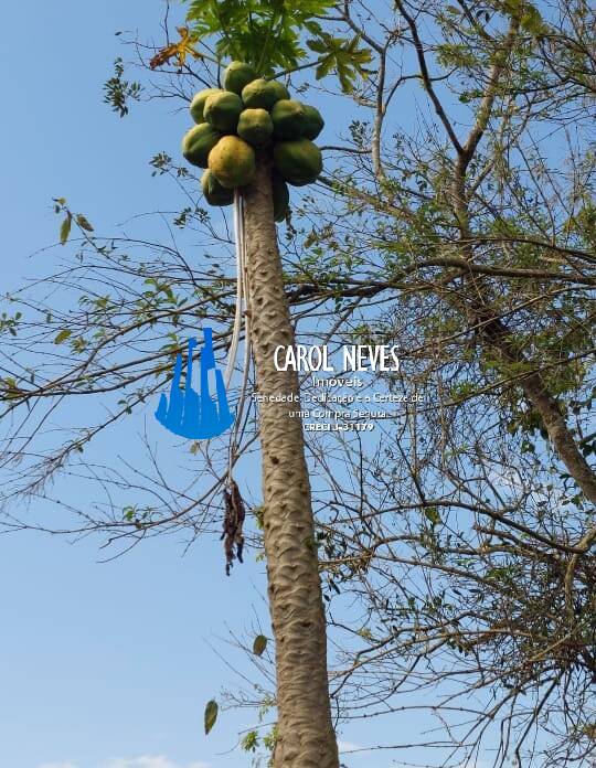 Chácara à venda com 2 quartos, 2200m² - Foto 17