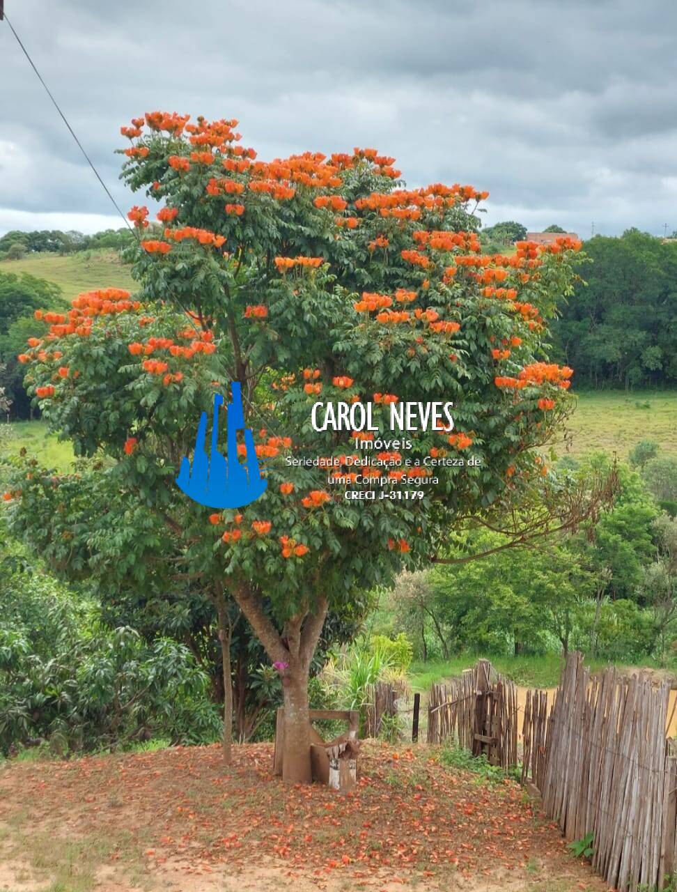 Chácara à venda com 2 quartos, 2200m² - Foto 25