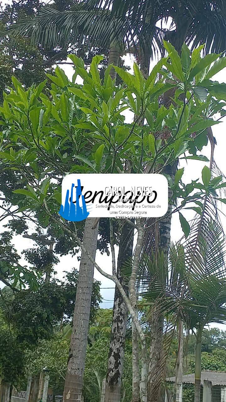 Terreno à venda, 30000m² - Foto 12