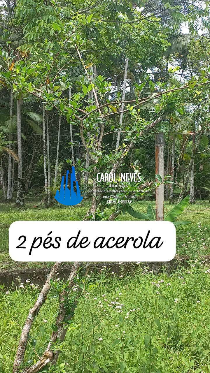 Terreno à venda, 30000m² - Foto 11