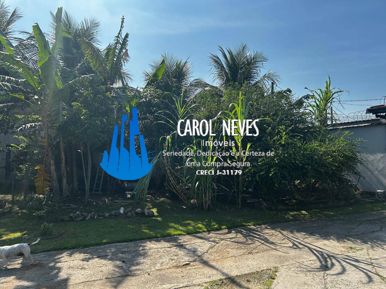 Chácara, 4 quartos, 2419 m² - Foto 42