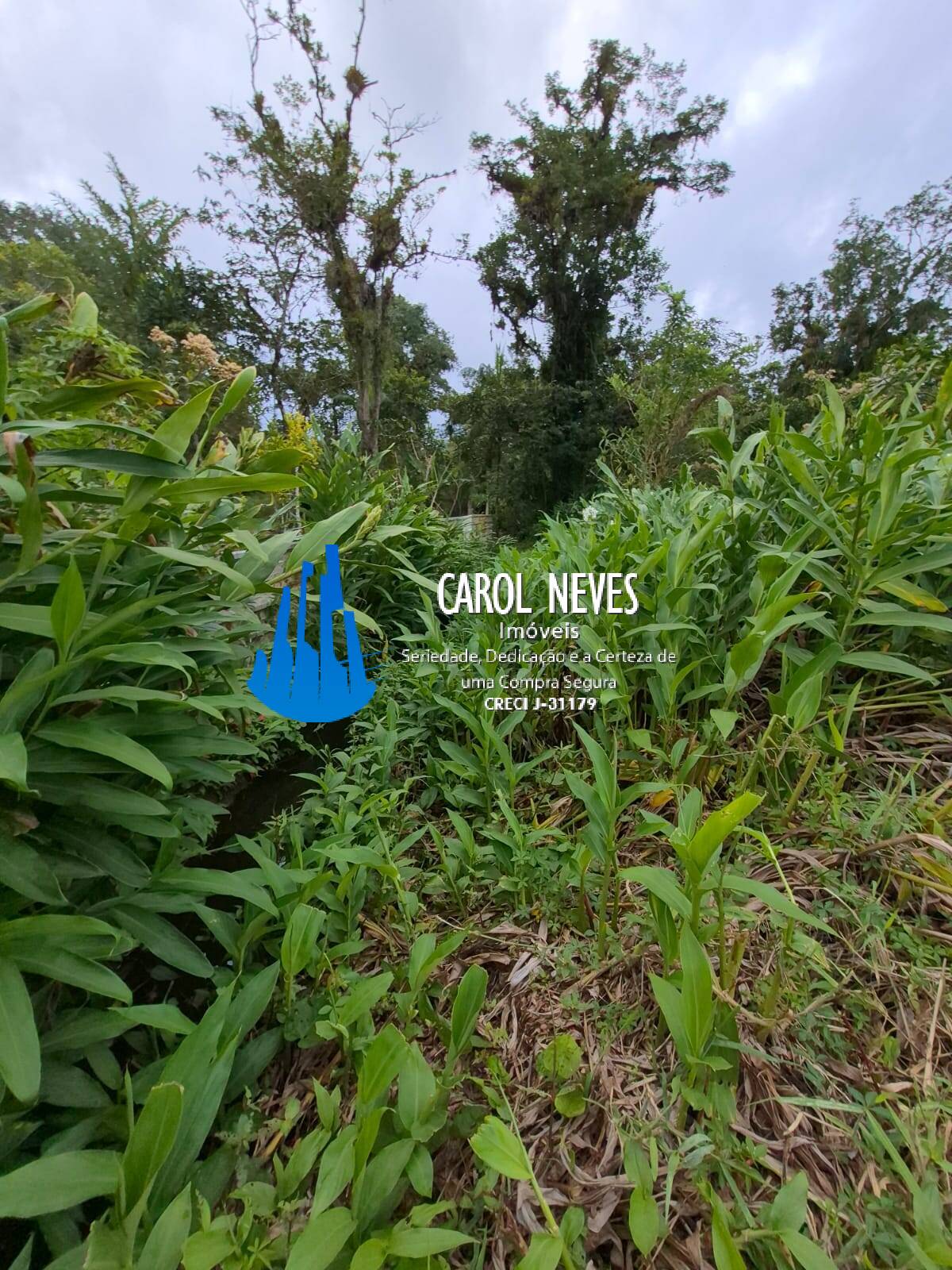Terreno, 2 hectares - Foto 18