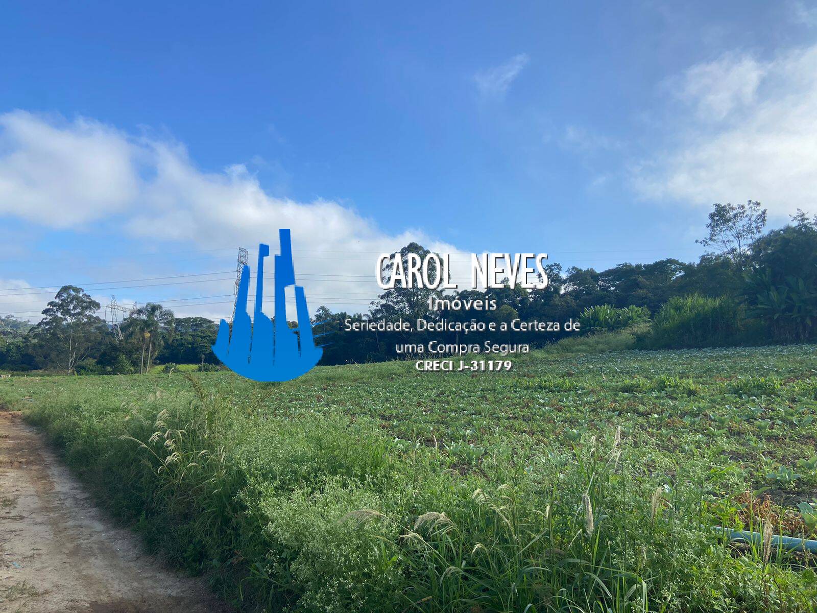 Fazenda, 19 hectares - Foto 16