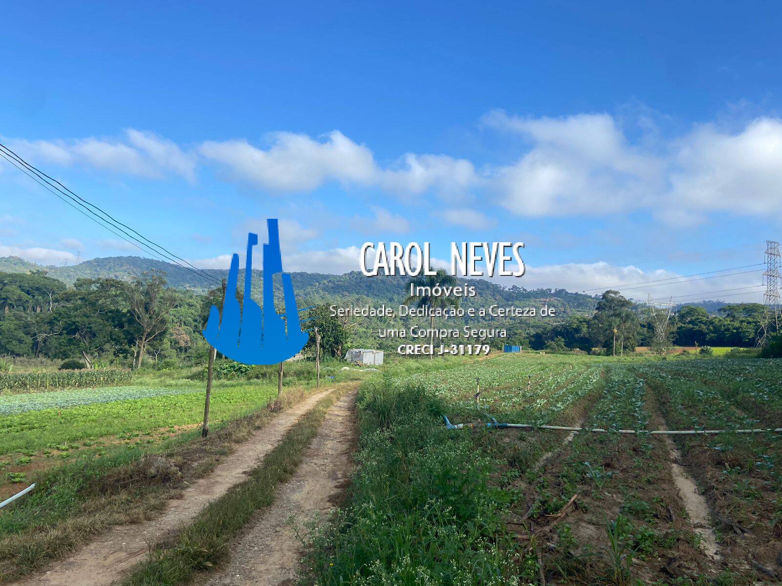 Fazenda, 19 hectares - Foto 17