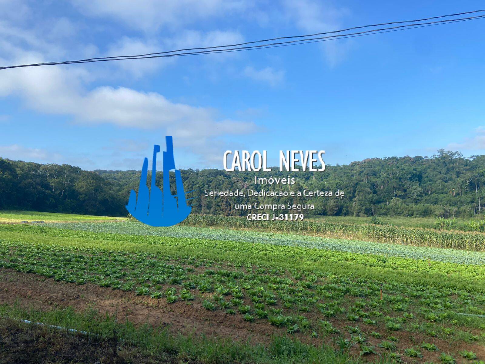 Fazenda, 19 hectares - Foto 19
