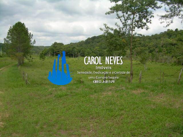 Fazenda, 19 hectares - Foto 25